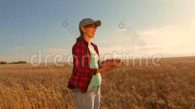 农家女孩在麦田里用一块石板工作，计划种一种粮食。女农艺师用药片研究小麦